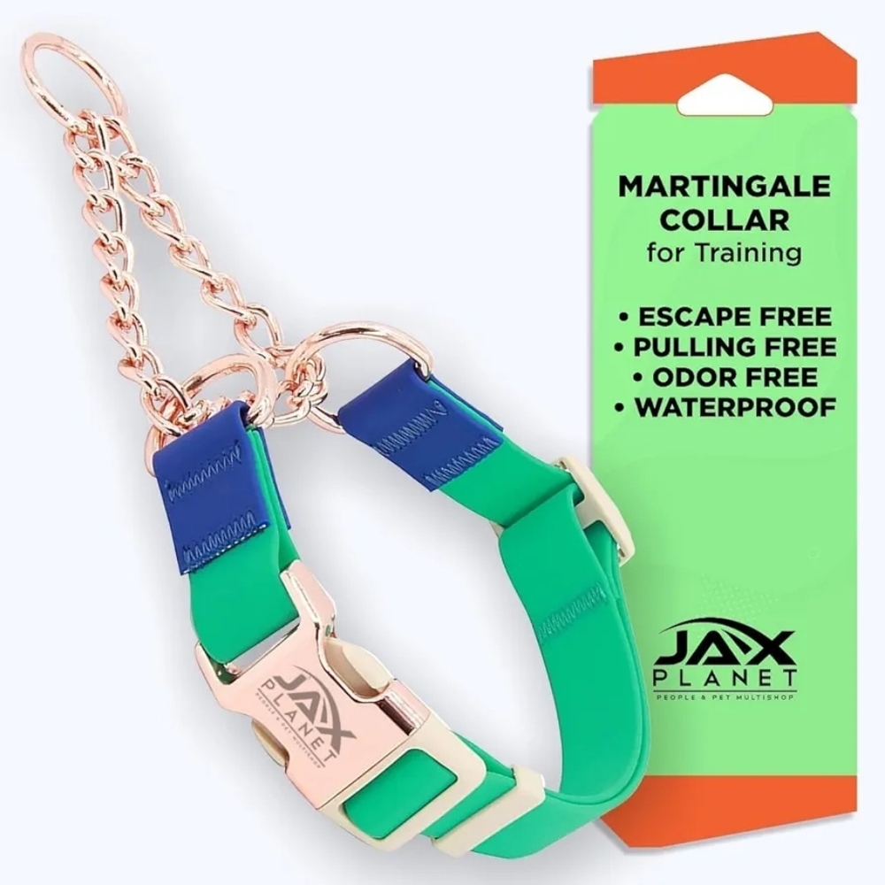 Waterproof No Pull Nylon Dog Collar, Alloy Metal Buckle & D-Ring Medium